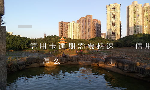 信用卡逾期需要快速賺錢(信用卡逾期急用錢該怎么辦)