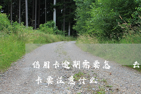 信用卡逾期需要怎樣還(去銀行還逾期的信用卡要注意什么)