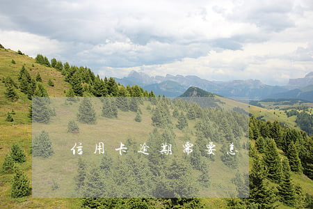 信用卡逾期需要怎樣還錢 信用卡逾期需要怎樣還錢