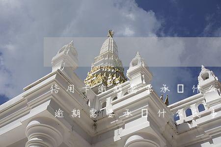 信用卡逾期需要承擔什么民事責任-信用卡逾期需要承擔什么民事責任呢
