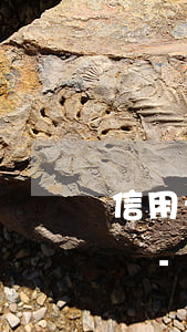 信用卡逾期需要提前打電話協(xié)商嗎-信用卡逾期需要提前打電話協(xié)商嗎怎么辦