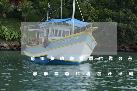 信用卡逾期需要村委会开证明模板-信用卡逾期需要村委会开证明模板吗