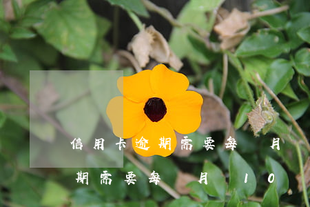 信用卡逾期需要每個月還10塊-信用卡逾期需要每個月還10塊嗎