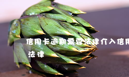 信用卡逾期需要法律介入(信用卡逾期涉及的法律)