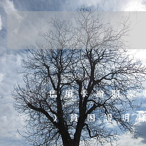 信用卡逾期需要辦貧困證明(村委會(huì)貧困證明樣本 銀行信用卡)