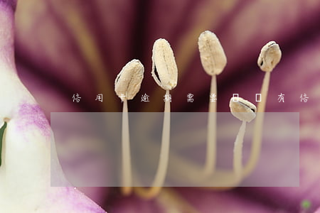 信用卡逾期需要還嗎(有信用卡逾期的嗎?)