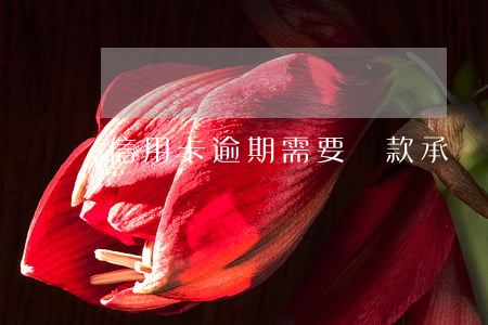 信用卡逾期需要還款承諾書嗎