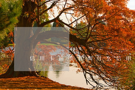 信用卡逾期非叫什么(信用卡非惡意逾期)