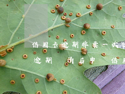 信用卡逾期非要一次性還清(嚴(yán)重逾期還清后申請信用卡)