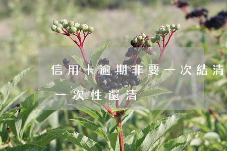 信用卡逾期非要一次結清(信用卡逾期被要求一次性還清)