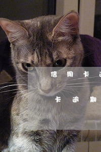 信用卡逾期非要本人处理吗(本人不在了信用卡逾期了要不要还款)