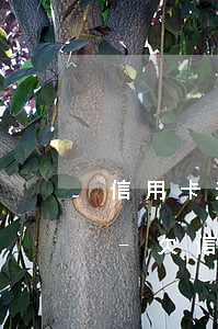 信用卡逾期非讓還一部分才協(xié)商-欠信用卡分期還不上可以協(xié)商解決嗎