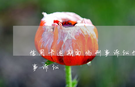 信用卡逾期面临刑事诉讼(信用卡逾期面临刑事诉讼)
