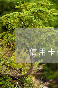 信用卡逾期面對面(接到電話說信用卡逾期)
