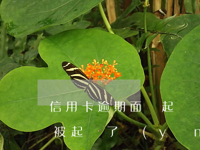 信用卡逾期面臨起訴該怎么處理(信用卡逾期被起訴了應(yīng)該如何應(yīng)訴)