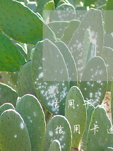 信用卡逾期面臨起訴該怎么處理(法院如何判信用卡逾期)