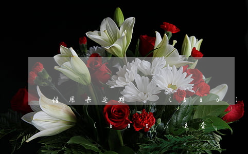 信用卡逾期須報(bào)送金(信用卡逾期須報(bào)送金)