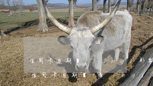 信用卡逾期領(lǐng)彩票有影響嗎-信用卡逾期領(lǐng)彩票有影響嗎
