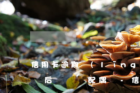 信用卡逾期領(lǐng)結(jié)婚證后會騷擾配偶嗎-信用卡逾期領(lǐng)結(jié)婚證后會騷擾配偶嗎知乎