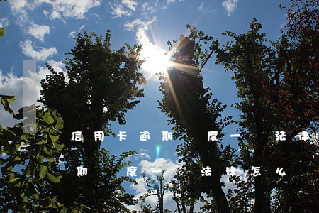 信用卡逾期額度一萬法律怎么說-信用卡逾期額度一萬法律怎么說