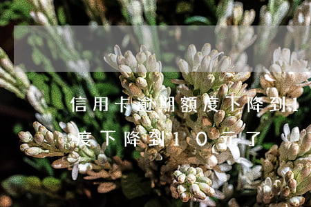 信用卡逾期額度下降到10元(信用卡逾期額度下降到10元了)