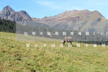 信用卡逾期額度凍結(jié)還能解凍嗎(銀行卡因為信用卡逾期被凍結(jié)怎么辦)