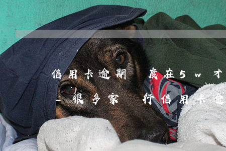 信用卡逾期額度在5w才會(huì)坐牢-很多家銀行信用卡逾期總額超過五萬