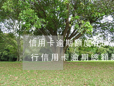 信用卡逾期額度在5w才會坐牢-很多家銀行信用卡逾期總額超過五萬