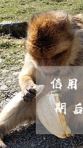 信用卡逾期額度多久能恢復(fù)正常 逾期后額度什么時候能恢復(fù)