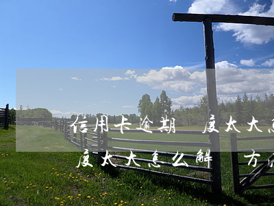 信用卡逾期額度太大怎么解決(信用卡逾期額度太大怎么解決方法)