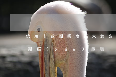 信用卡逾期額度很大怎么辦(低額度信用卡逾期嚴(yán)重嗎)