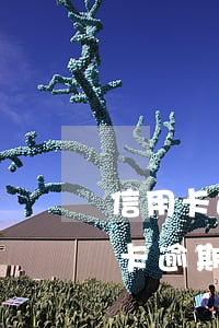 信用卡逾期額度忘記是多少了-你們的信用卡逾期多久了