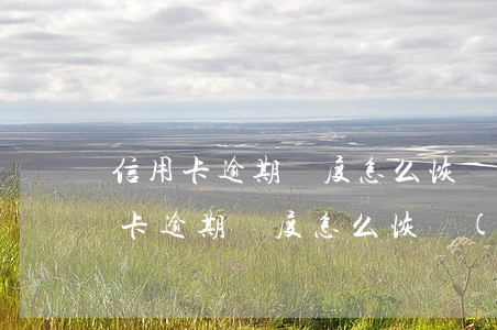 信用卡逾期額度怎么恢復(fù)正常(信用卡逾期額度怎么恢復(fù)正常使用)