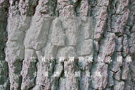 信用卡逾期額度怎么還漲了(有過逾期的信用卡還能提額度嗎)