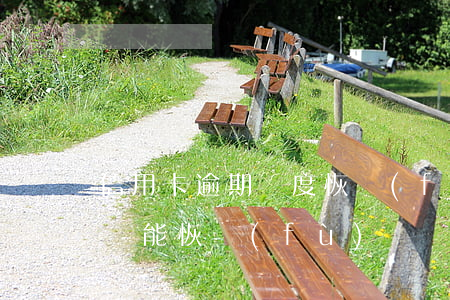 信用卡逾期額度恢復(fù)嗎(逾期了信用還能恢復(fù)嗎)
