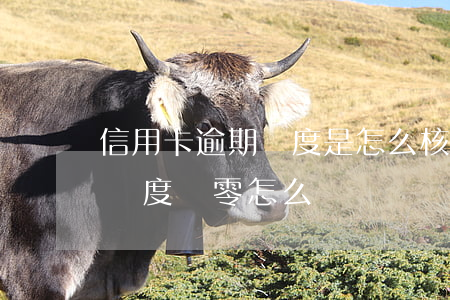 信用卡逾期額度是怎么核算的(逾期了信用卡額度為零怎么辦)