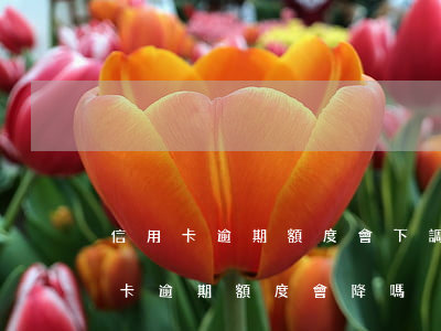信用卡逾期額度會下調(diào)嗎(信用卡逾期額度會降嗎)