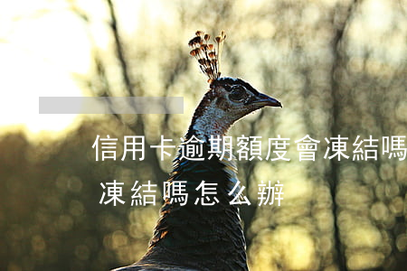 信用卡逾期額度會凍結嗎 信用卡逾期額度會凍結嗎怎么辦