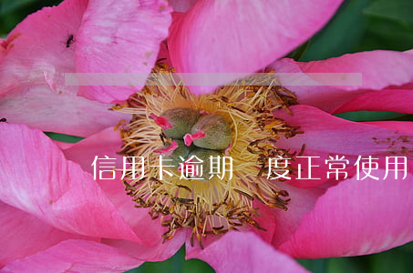 信用卡逾期額度正常使用
