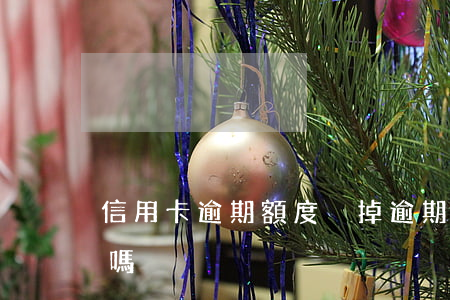 信用卡逾期額度沒掉(逾期會影響信用卡額度嗎?)