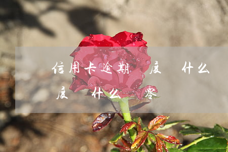信用卡逾期額度為什么為零-信用卡逾期額度為什么為零