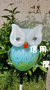 信用卡逾期額度為零咋辦(工行信用卡沒逾期額度為0,能恢復額度嗎)