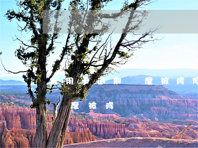 信用卡逾期額度被降低了怎么辦（信用卡逾期額度被降）