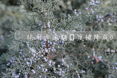 信用卡逾期額度被降成0(信用卡逾期額度被降成0)