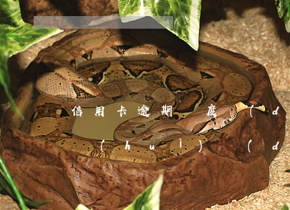 信用卡逾期額度調(diào)整(貸款逾期會(huì)導(dǎo)致信用卡降額)