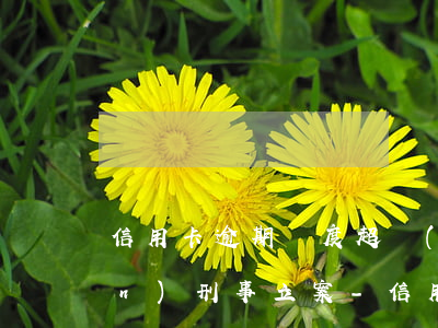 信用卡逾期額度超過(guò)五萬(wàn)刑事立案-信用卡逾期額度超過(guò)五萬(wàn)刑事立案嗎
