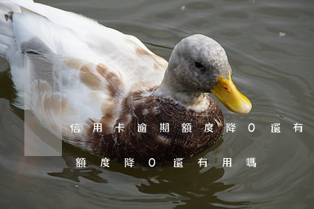 信用卡逾期額度降0還有用嗎-信用卡逾期額度降0還有用嗎