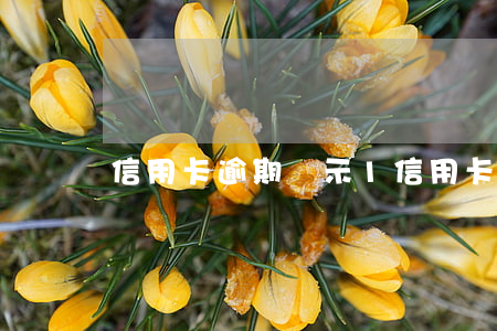 信用卡逾期顯示1(信用卡逾期顯示1)