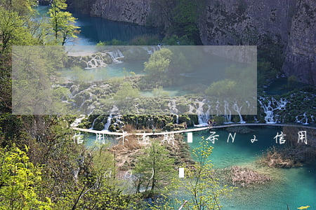信用卡逾期顯示N2(信用卡逾期顯示銷(xiāo)戶)
