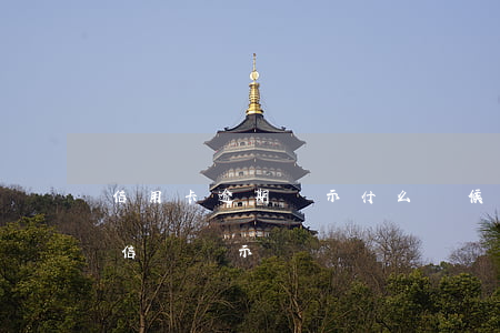 信用卡逾期顯示什么時候(信用卡逾期多久征信會顯示)